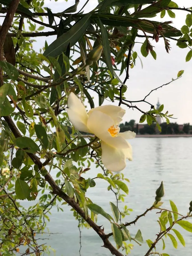 Apartment Esclusivo Appartamento- 6 Persone In Villa Liberty Lido di Venezia